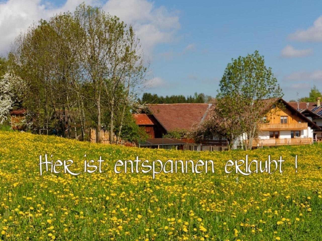 Appartement Ferienhof Am Holderbusch à Füssen Extérieur photo